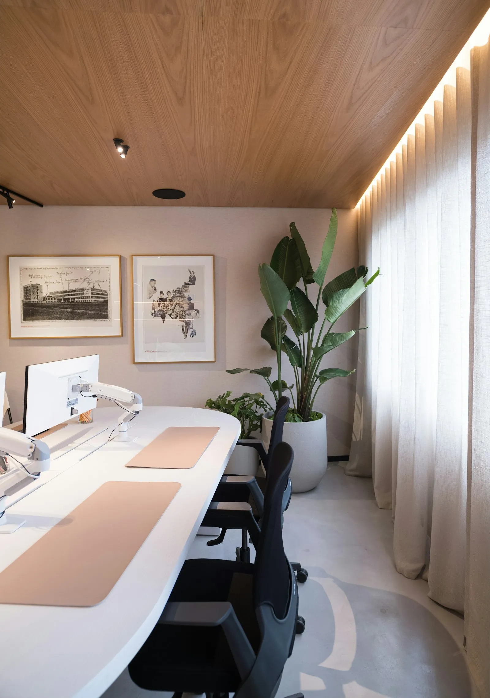 A calm, modern studio office interior with plants